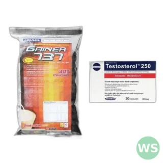 Gainer 737 z Testosterolem 250 w zestawie — zdjęcie 1
