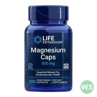 Magnesium Caps 500 mg – 100 kapsułek — zdjęcie 1