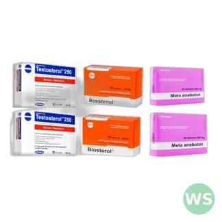 Testosterol Biosterol testosteron plus meta anabolon — zdjęcie 1